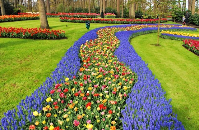 Keukenhof