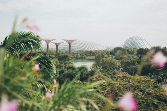 garden